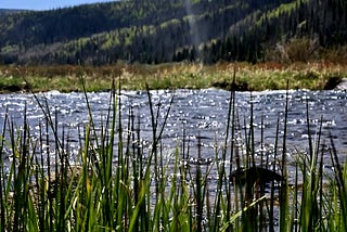 Standing Still in Moving Water
