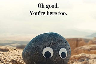 Pet Rock That Judges You