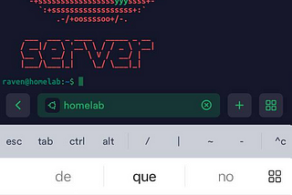 My OSINT HomeServer (alpha).