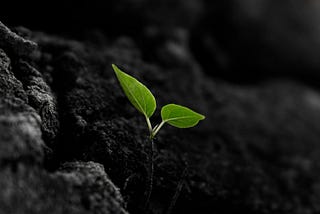 Endings Lead To New Beginnings