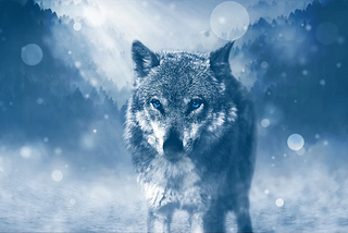 NVIDIA’s Wolf: World Summarization Framework Beats GPT-4V on Video Captioning by 55.6%
