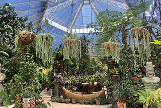 Birds, Blooms, and Beauty at Vallarta Botanical Garden