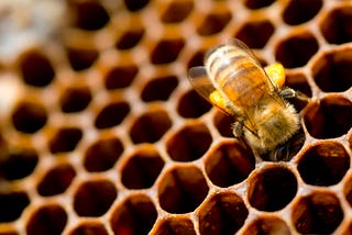 Simplifying Hexagonal Architecture: How to Avoid Excessive Boilerplate