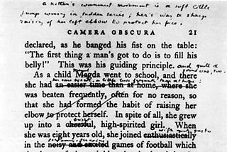 How Is the Fictional World Being Constructed?