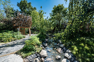 Biophilic design is the wellness revolution happening all around us