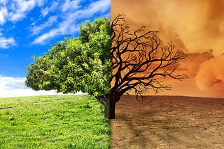 The Cost of Failed Science Communication: Lessons from Los Angeles