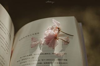 suddenly, every page was all about you