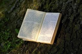 Pdf Kitap Indir Medium