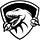 Raptor IT Consultants
