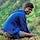Sandul W