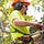 Tree Removal Services