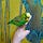 Birds for Sale United States