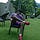 S Sailesh