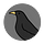 Blackbird's Feathers