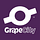 GrapeCity开发解决方案