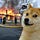 Ragnar Doge
