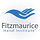Fitzmaurice Hand Institut