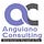 Anguiano Consulting