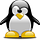 Argumentative Penguin