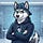 The Husky Hacker