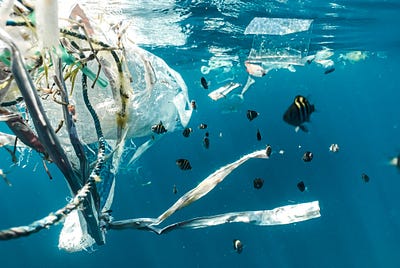 What happens when the ocean has flu?