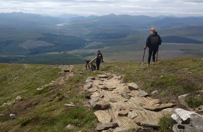 Rare habitat restoration showing signs of success in Highlands of Scotland