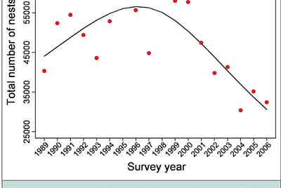 An Analysis and Resolution of the Loggerhead Sea Turtles “Endangered Species” Status
