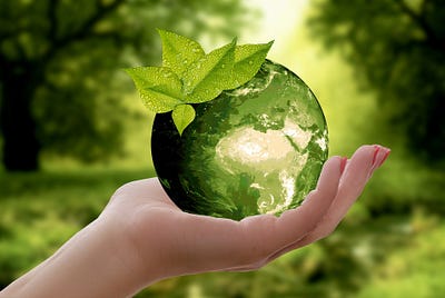 Sustainable Investment: How Climate Protection becomes a Competitive Advantage