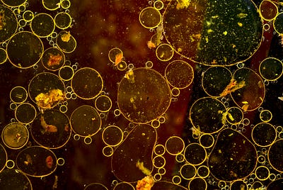 The Tory Raw Sewage Crisis Stinks of Brexit, and That’s Not OK