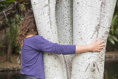 Whales, Toilets and Tree Huggers