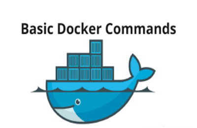 docker run image command network