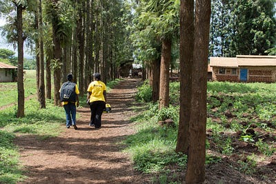 Does investing in social and environmental impact ensure financial gains?