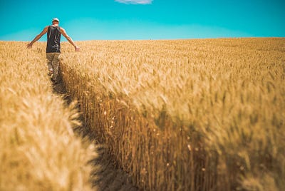 Bill Gates Is the Largest Farmland Owner in the U.S., and It’s the Best Passive Income You Can Have