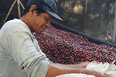 How our business contributes to peace