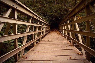 Memories of the herb garden lover
