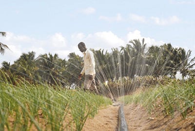 Refrigerators and Water Pumps Have Reached a Critical Crossroads: Here’s What the Off-Grid Solar…