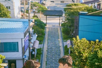 【任何人都應找到自己生命的意義，還有認識自己 — — 韓劇《山茶花開時》】－伍麒匡