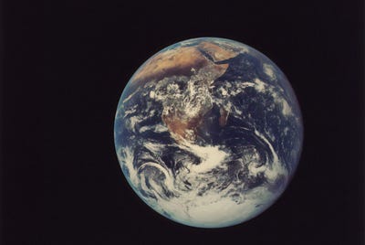 What are humans (in under 600 words)?