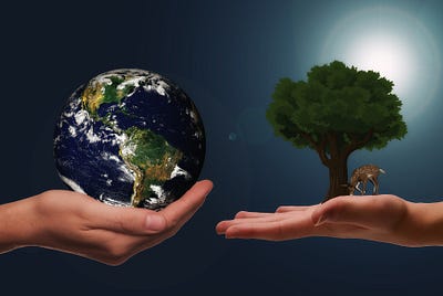 India’s Approach to Saving Biodiversity