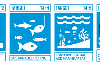 Sustaining life below water: the contrasting impact of COVID-19 on sea life
