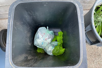 Zero Waste Challenge — Final Week, But Just The Beginning