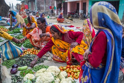 Driving innovation investments for sustainable agriculture in the Global South