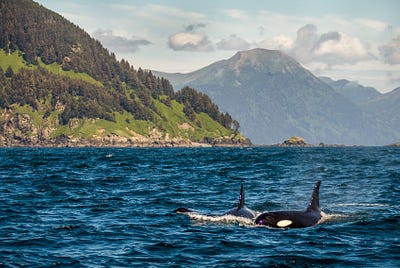 Coming together to clean up our oceans