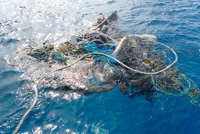 Turning the Tides on Unsustainable Eating