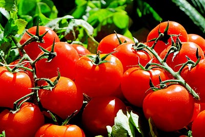 The Tomato