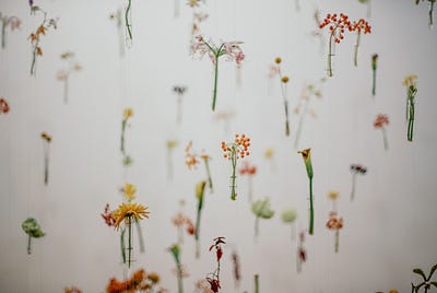 Le implicazioni della legge di Conservazione della Materia nella MODA