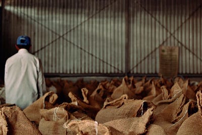 Coffunity Basics: The Coffee Value Chain