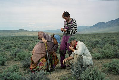 How will humans live through ecological collapse?
