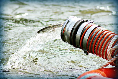 Migrating Salmon Tackle Nature’s Obstacle Course