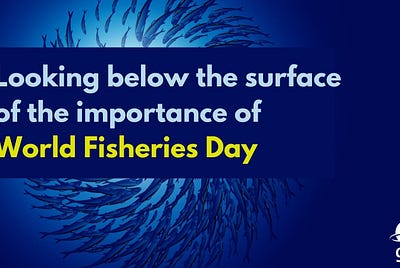 Looking below the surface of the importance of World Fisheries Day
